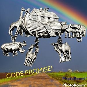 Vintage Noah's ark silver brooch pin 50's 60's 70's animals boat God's promise